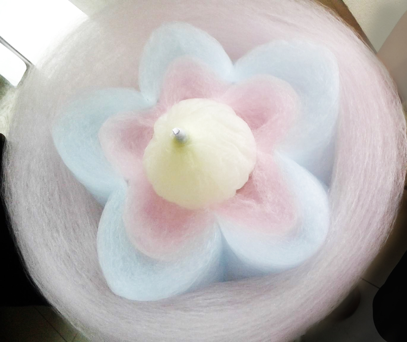 cottoncandyflower